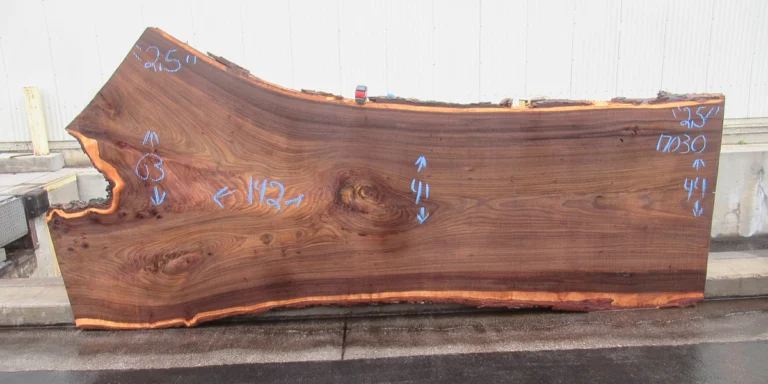 American Elm Slab