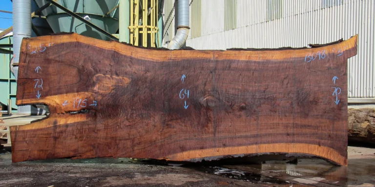 Claro Walnut Slab