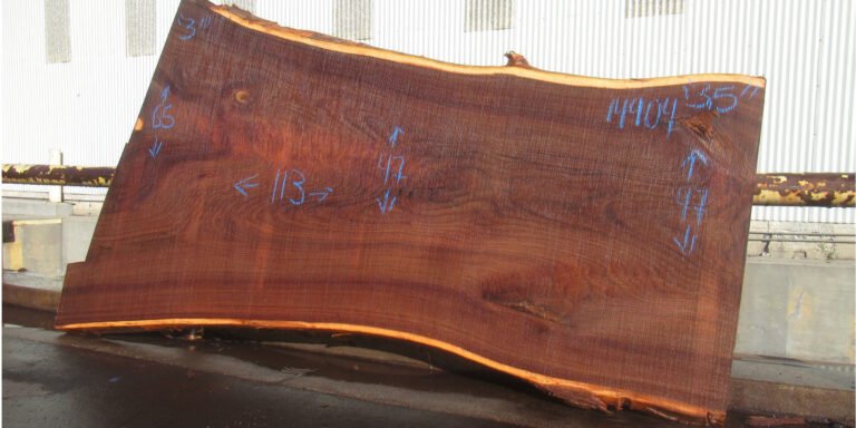 American Elm Slab