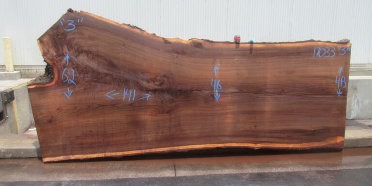 American Elm Slab