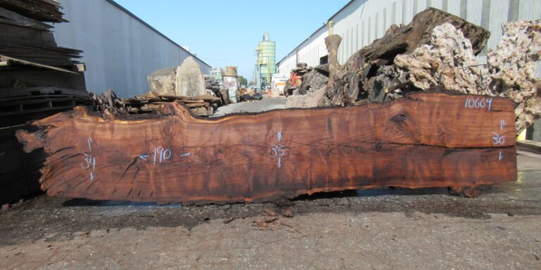 Claro Walnut Slab