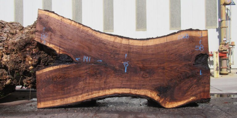 Claro Walnut Slabs