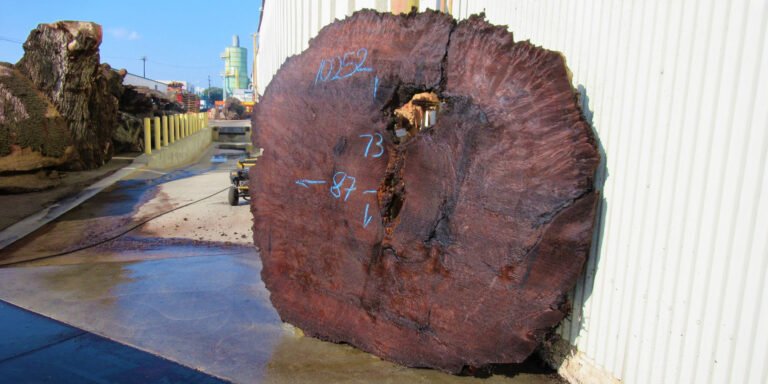 Claro Walnut Slab