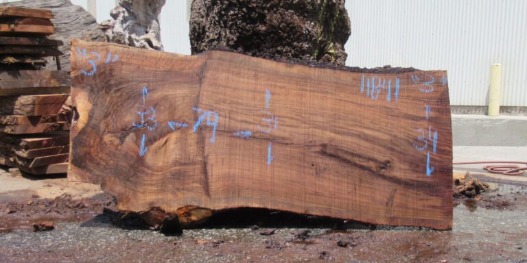 Claro Walnut Slab