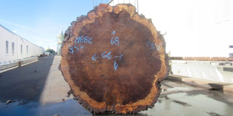 Claro Walnut Slab