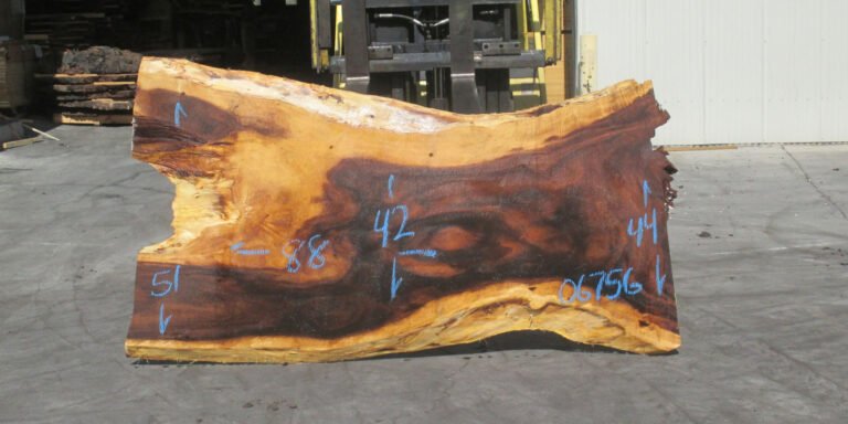Hawaiian Monkey Pod Slab